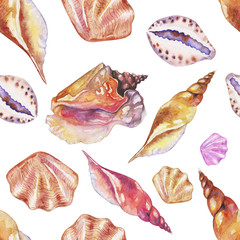 Shells on the bottom of the sea. pattern, watercolor