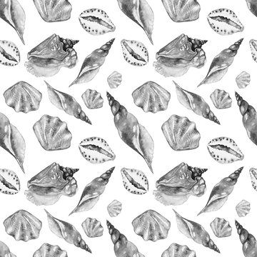 Shells on the bottom of the sea. pattern, watercolor