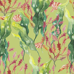 seaweed and Shells on the bottom of the sea. pattern, watercolor