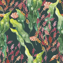 seaweed and Shells on the bottom of the sea. pattern, watercolor - 185531326