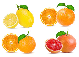 Citrus Fruit Set (orange, grapefruit,  lemon) isolated on white background.