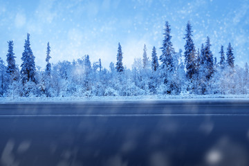 Fototapeta premium road in winter forest