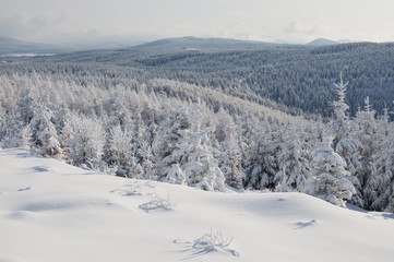 Fototapeta na wymiar Winter in the Jizera mountains, Stredni jizersky hrbet and hill Bukovec. Northern Bohemia Czech republic, Europe