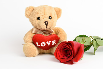Teddy bear and rose for valentines day