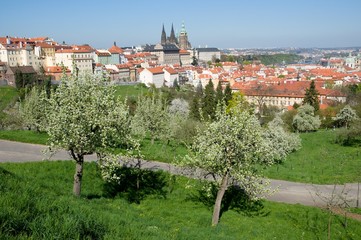 Prague castle and Mala Strana from Seminarska Garden in Prague, Czech republic