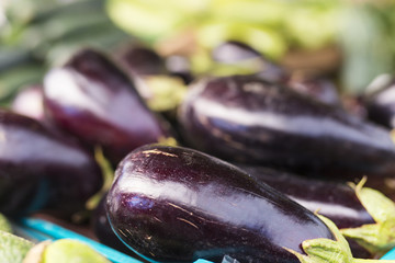Eggplant