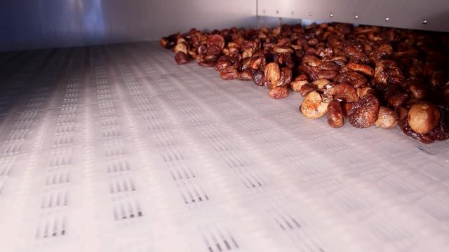 Dried figs on conveyor belt. Drying on industrial microw
