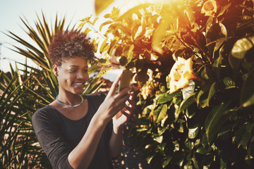 Smiling young African American lady with curly afro hair is taking picture or video via her cellphone for social network stories of beautiful flower buds on sunny summer day in the garden or city park