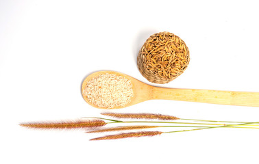 Thailand rice and Japanese rice on white background.Paddy and flower.Paddy in basket.ear of paddy on white background.