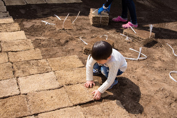 庭の芝生を植えるお手伝いをする子供