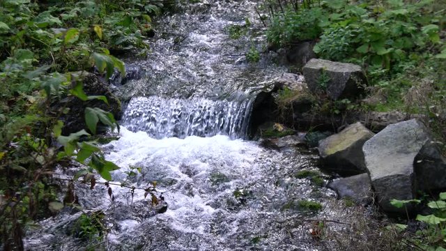 Mountain stream in forest.Ukraine.