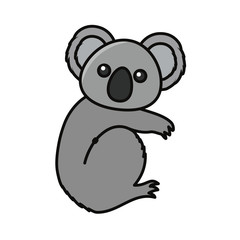 koala  vector illustration