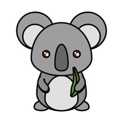 koala  with eucalyptus leaves vector illustration