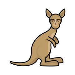kangaroo with glasses vector illustration