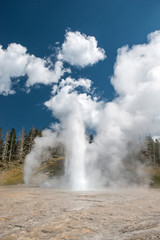 Natural Hot Spring, Yellowstone National Park