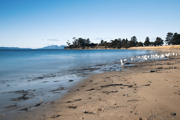 Jubilee beach in the town of Swansea, Tasmania.