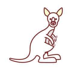 kangaroo vector illustration