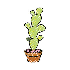 cactus in potted  vector  illustration