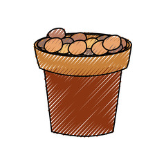 flowerpot  vector illustration