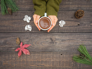 Women's hands hold a mug with hot cocoa