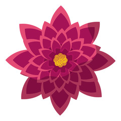 flower purple petals floral icon image vector illustration design 