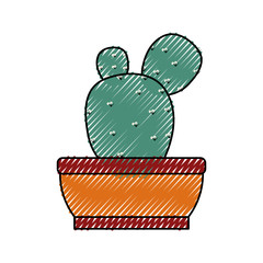 cactus un the potted  vector illustration