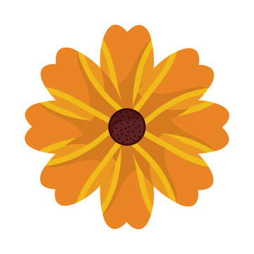 flower yellow floral icon image vector illustration design 