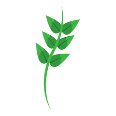 Obraz premium leaves on stem delicate icon image vector illustration design 