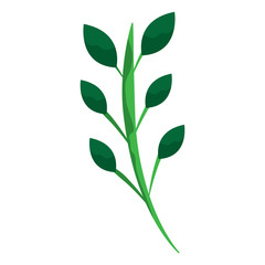 leaves on stem delicate icon image vector illustration design 