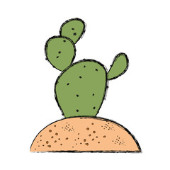 cactus in soil  vector illustration
