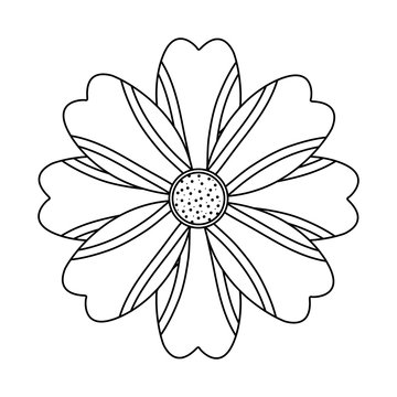 Flower Single Topview Floral Icon Image Vector Illustration Design 