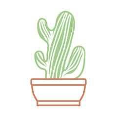Cactus in pot draw