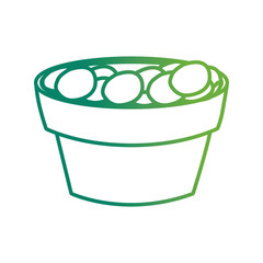 Plant pot with stones