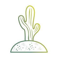 Cactus plant draw