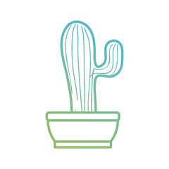 Cactus plant draw