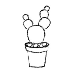 Cactus plant draw