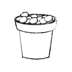 Plant pot with stones