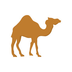 Camel cartoon silhouette