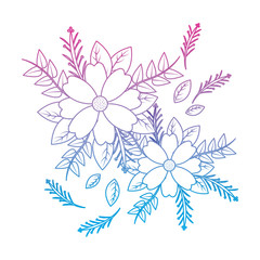 Fototapeta na wymiar flower with delicate leaves floral icon image vector illustration design 