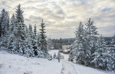 Fototapeta premium Mountain park in winter, Russia