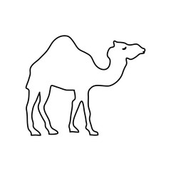 cartoon camel icon