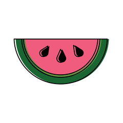 Fototapeta premium watermelon tropical fruit health nutrition food vector illustration
