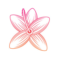 tropical hibiscus flower natural petal flora vector illustration