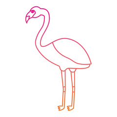 flamingo exotic bird decorative flat design vector illustration