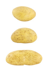Obraz premium set of potatoes isolated on white background