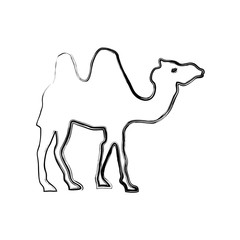 Camel cartoon silhouette