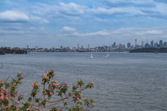 Sydney-Skyline diagonal über das Hafenbecken fotografiert
