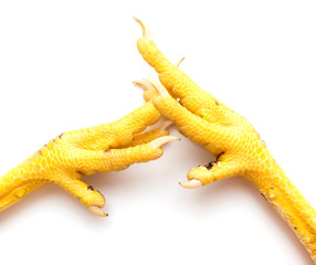 Yellow paw chicken on white background