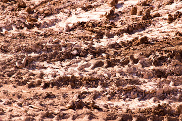 Traces from the car on the red clay soil