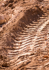 Traces from the car on the red clay soil